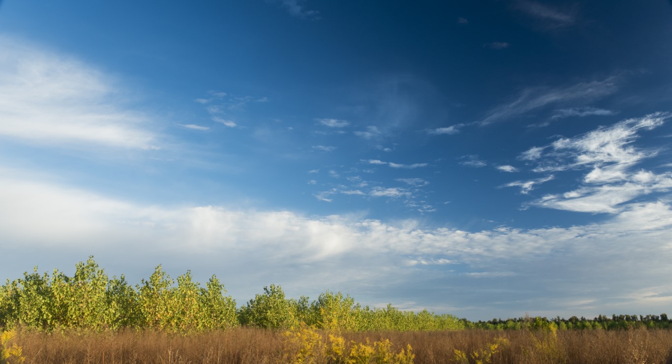 Green Trees October 2016 shoot